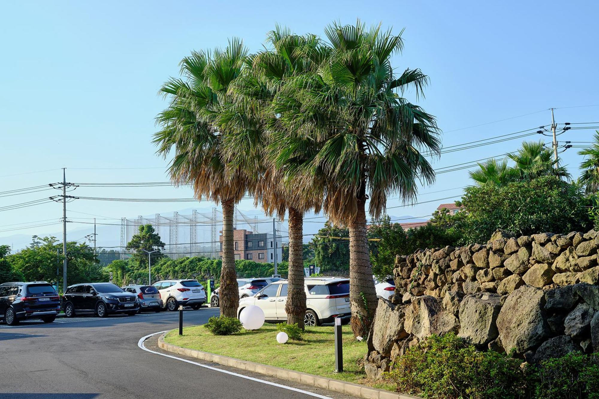 Shin Shin Hotel Jeju City Экстерьер фото